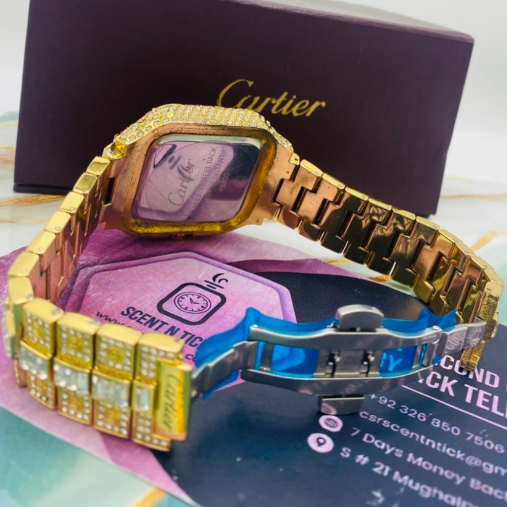 Premium CRTR Iced out Watch For Men's